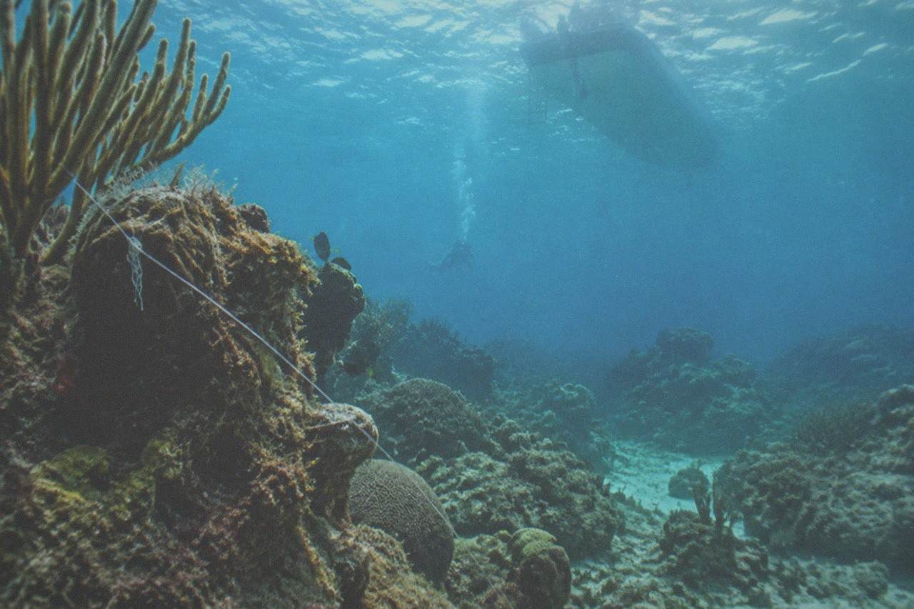 Clear turquoise water over a coral reef with a distant dive boat at anchor