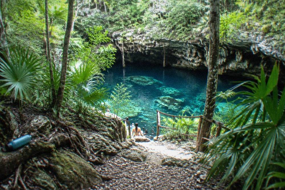 A jungle trail winding through dense green foliage toward an open cenote