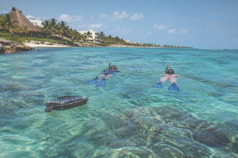 Snorkelers floating over a shallow coral reef in calm open water