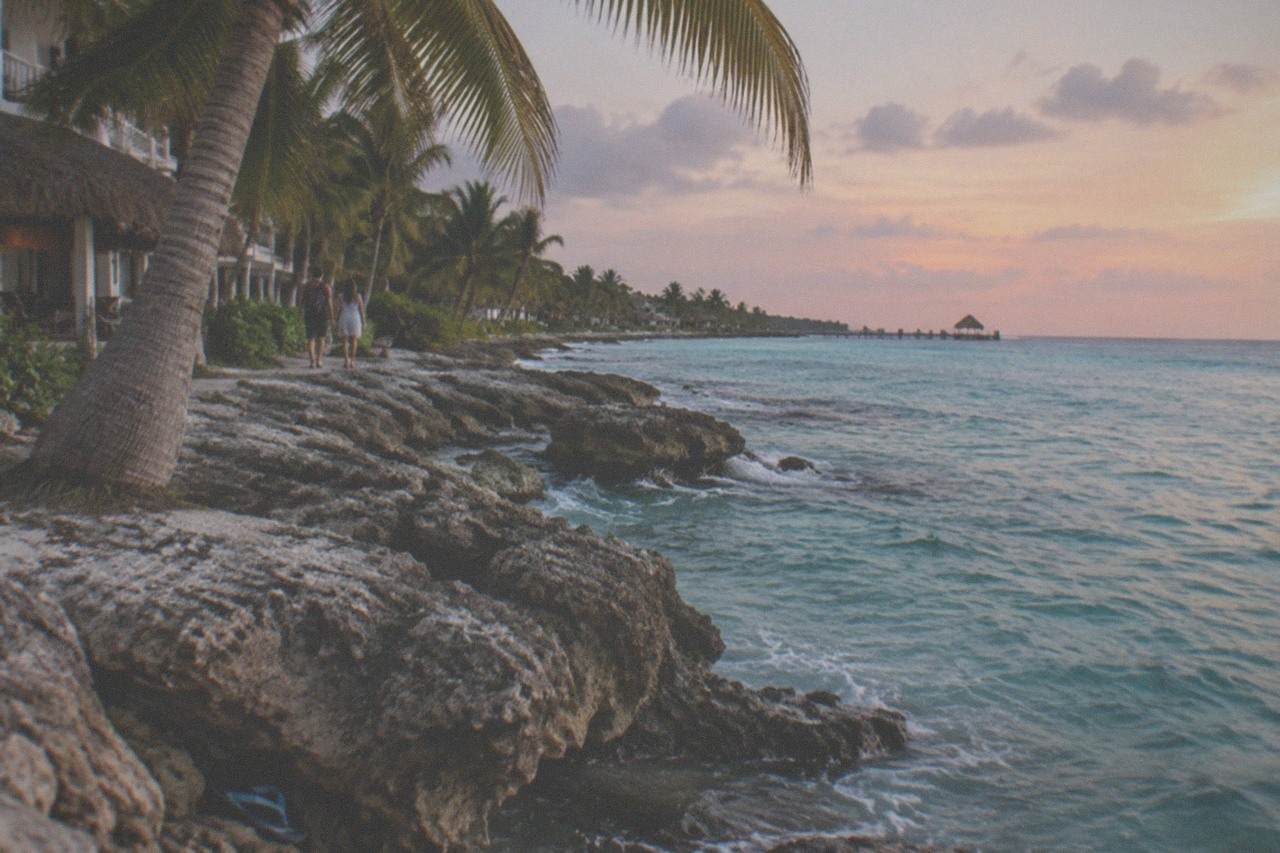 Calm turquoise water along a rocky Cozumel shoreline with palm trees
