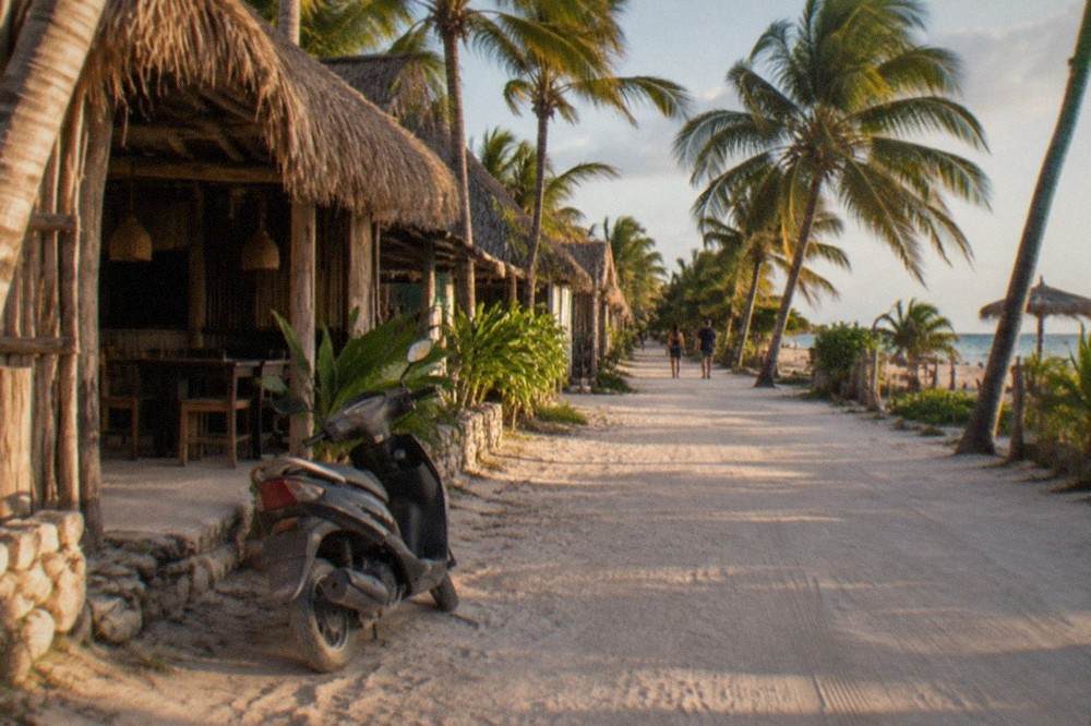 A quiet beach road lined with palm trees and low wooden buildings in the late afternoon