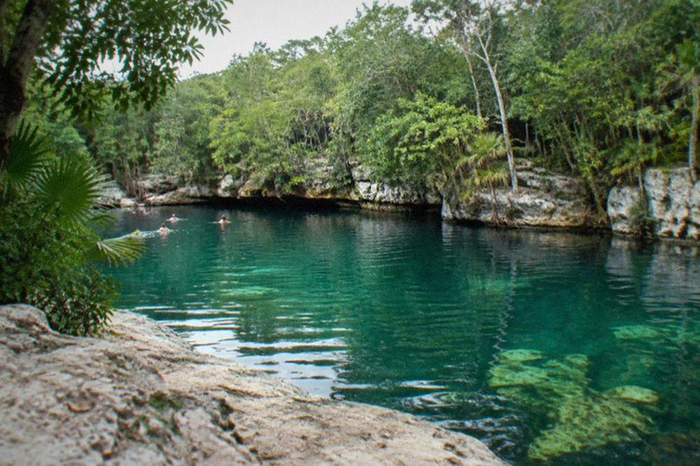 Limestone rock ledge above a calm jade-green freshwater pool with tall jungle trees on the far bank