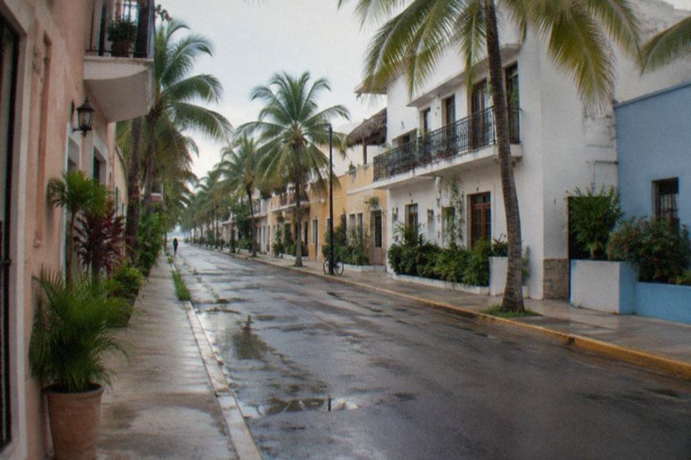 Quiet palm-lined street in Playa del Carmen with pastel buildings in morning light