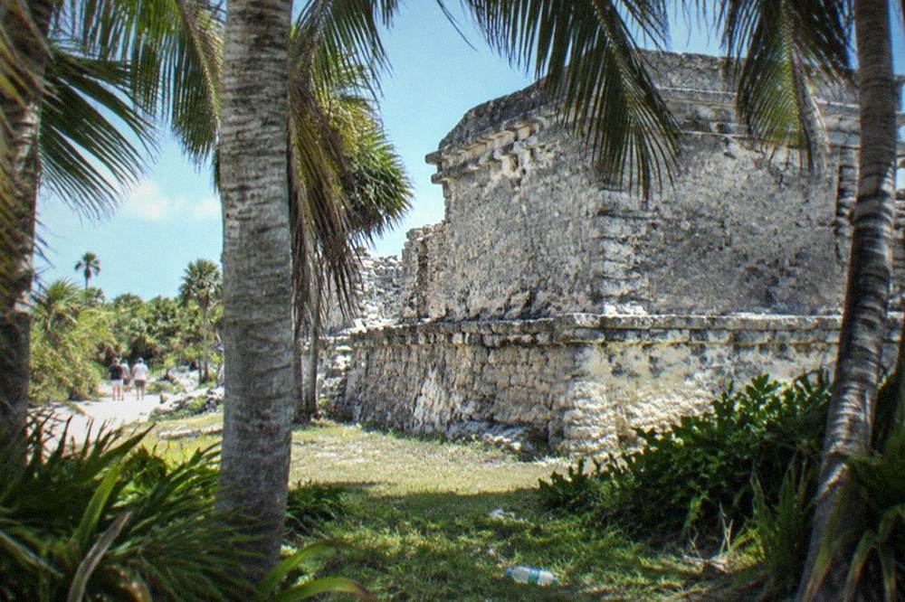 Ancient stone walls of a Mayan ruin framed by palm trees under a clear sky in Tulum