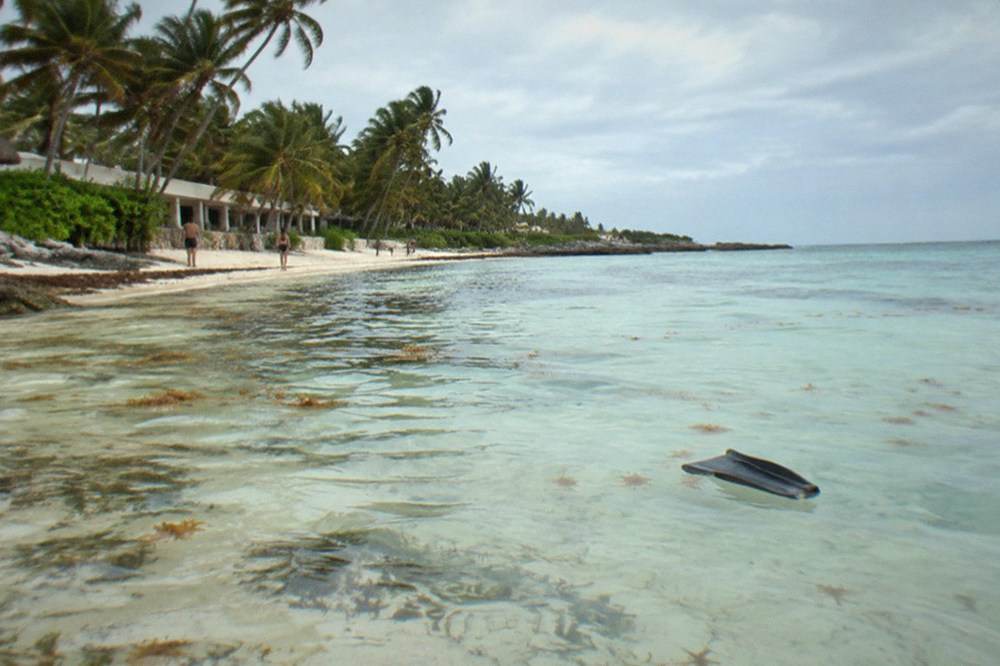 Shallow turquoise bay with patches of seagrass along a white sand beach lined with palms