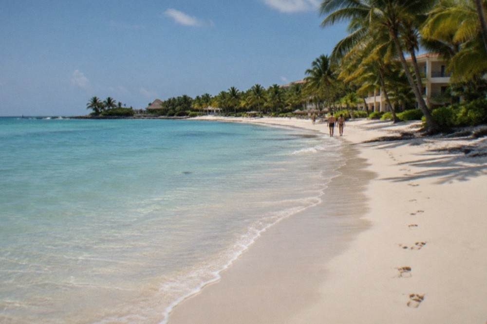 Calm turquoise water along a wide empty white sand beach lined with palm trees