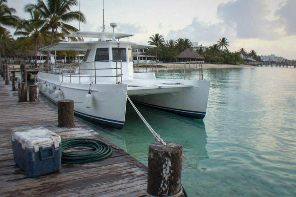A catamaran moored at a wooden dock with palm trees and calm shallow water nearby