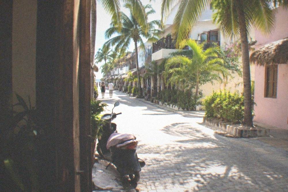 A sunlit street in Playa del Carmen with colorful building facades and palm trees