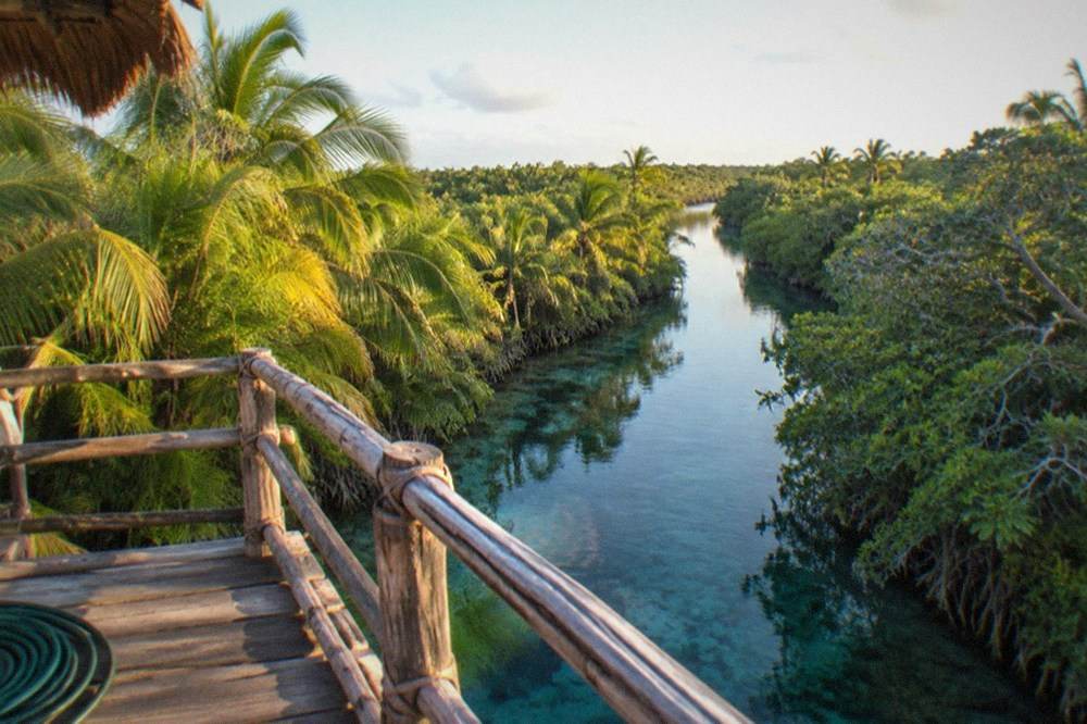 Narrow canal of clear water winding through dense tropical vegetation