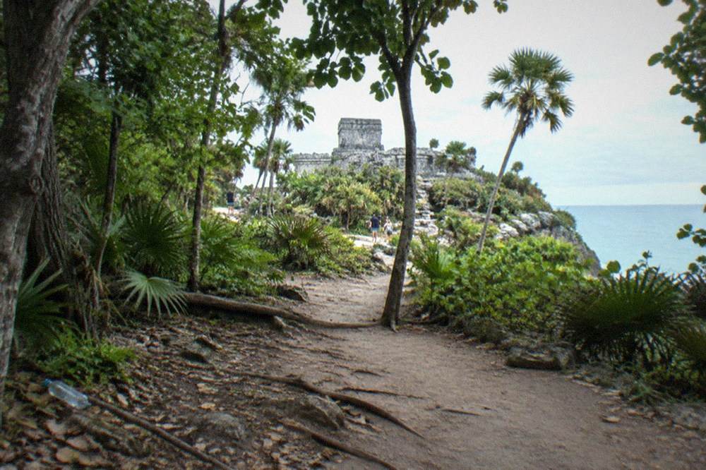A jungle path leading toward stone ruins partially covered by trees