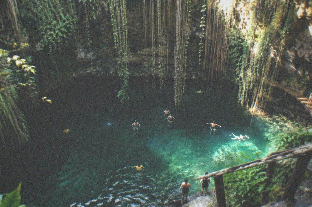 An open cenote with clear water surrounded by rock walls and green plants