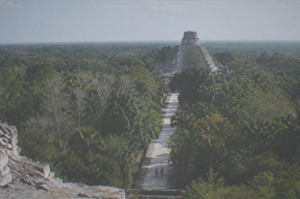A tall stone pyramid rising above dense green jungle canopy